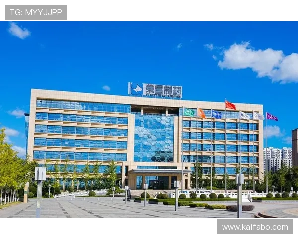 k8凯发是做什么的：解析其在网络游戏行业中的核心竞争力