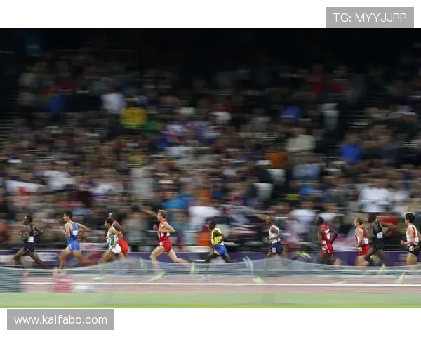 凯发体育网址多样化的体育项目投注策略与技巧分享